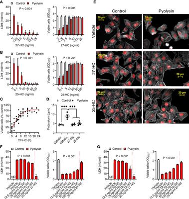 Oxysterols Protect Epithelial Cells Against Pore-Forming Toxins
